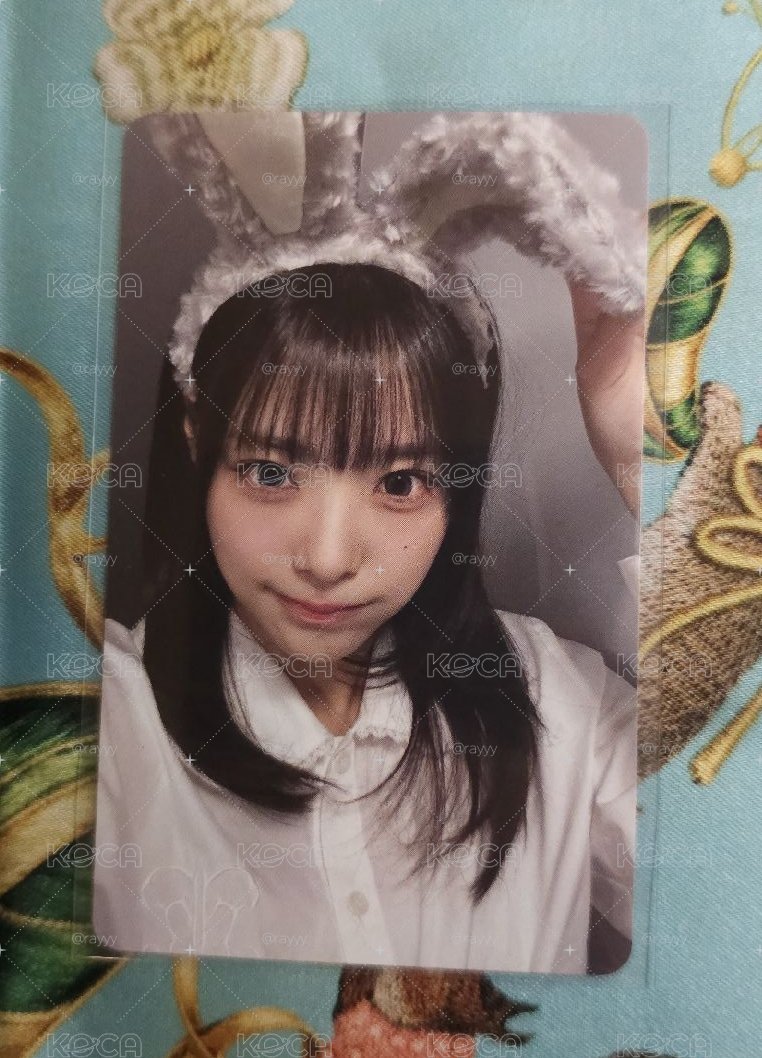 迷四兔子燕