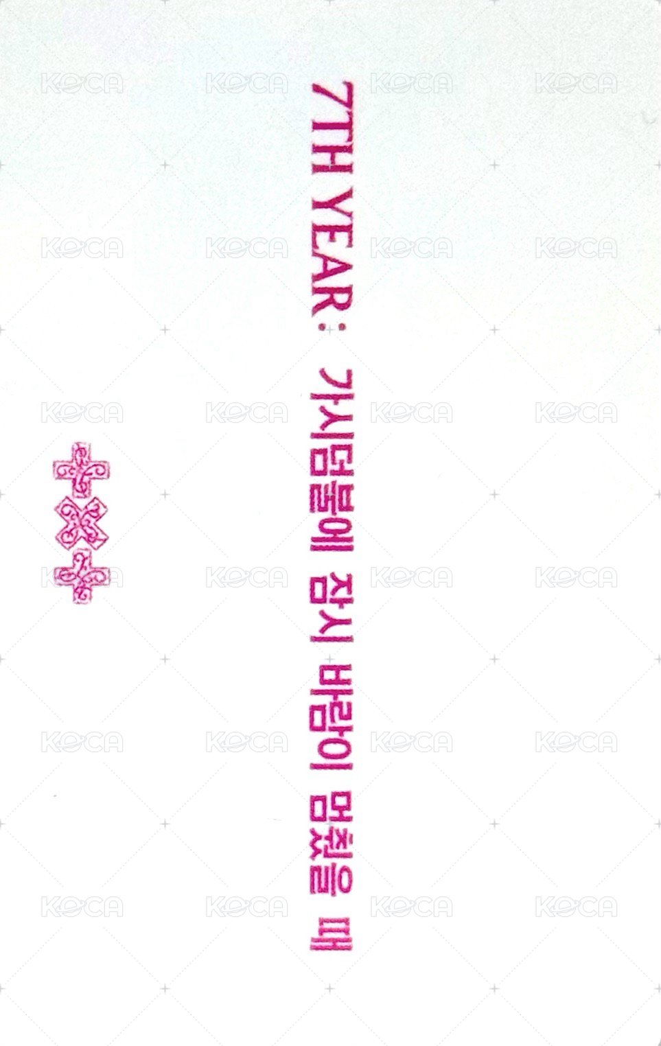 迷八 knpops 卡盒專 特典卡  背面