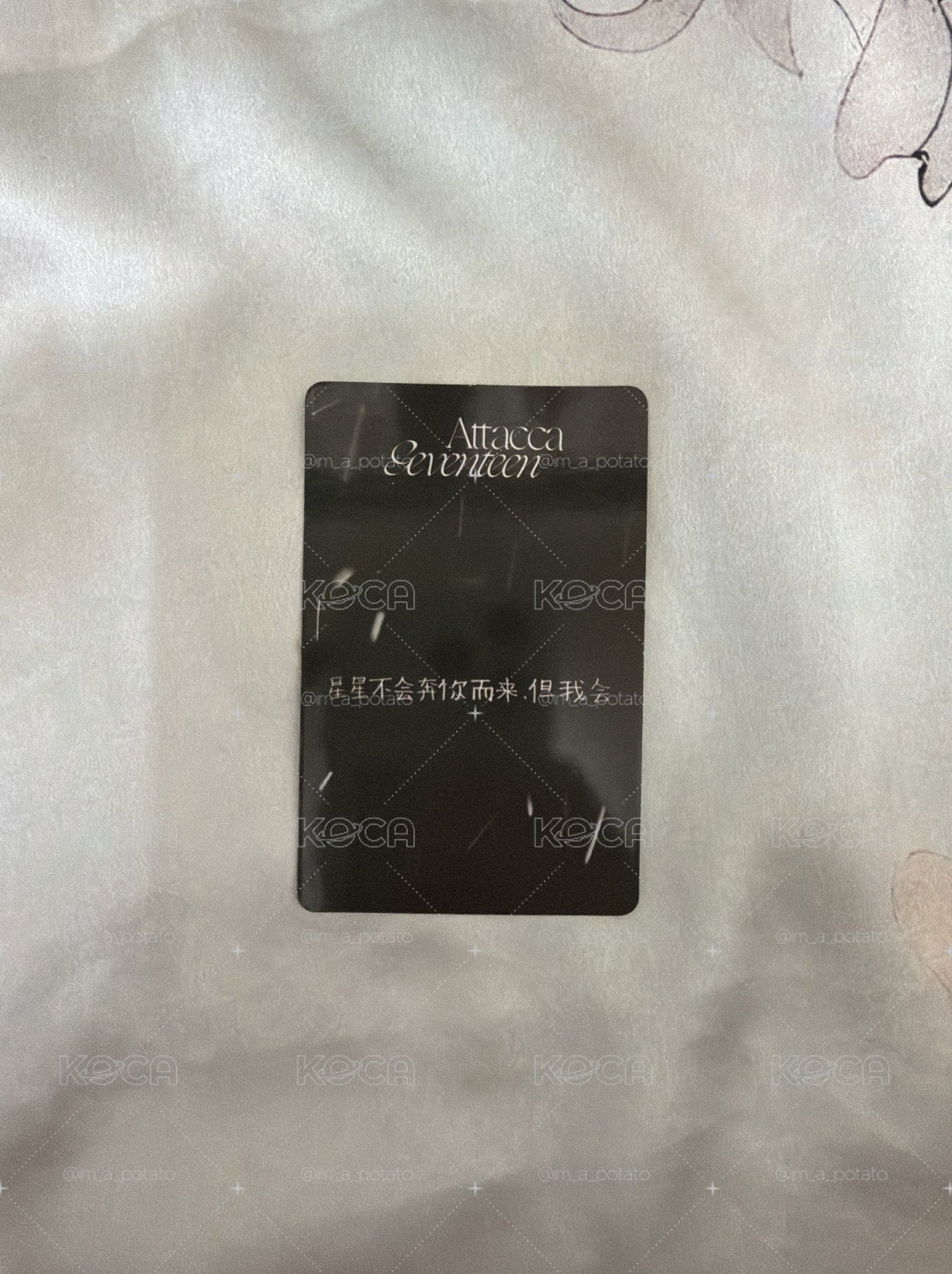 碩mini9一直娛簽售B🍕