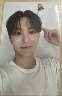 精選carat 花
