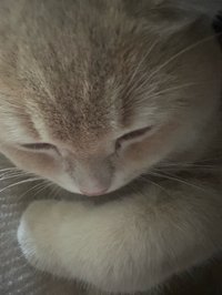 R.
