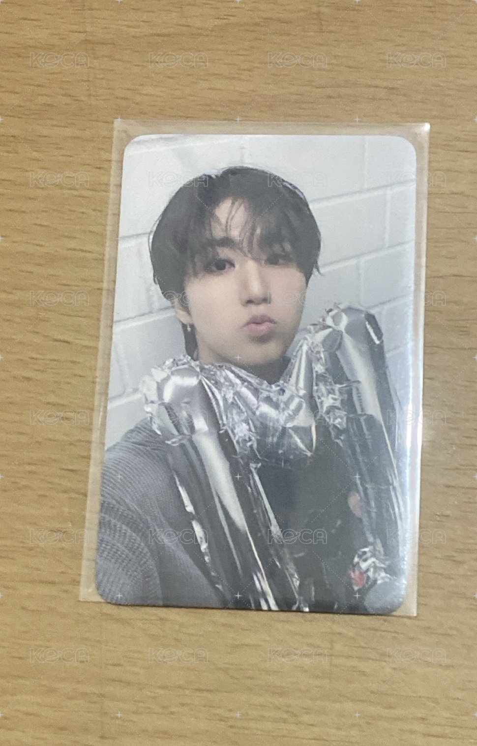 fans 特典城