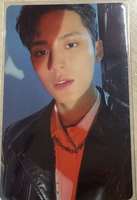 迷九carat