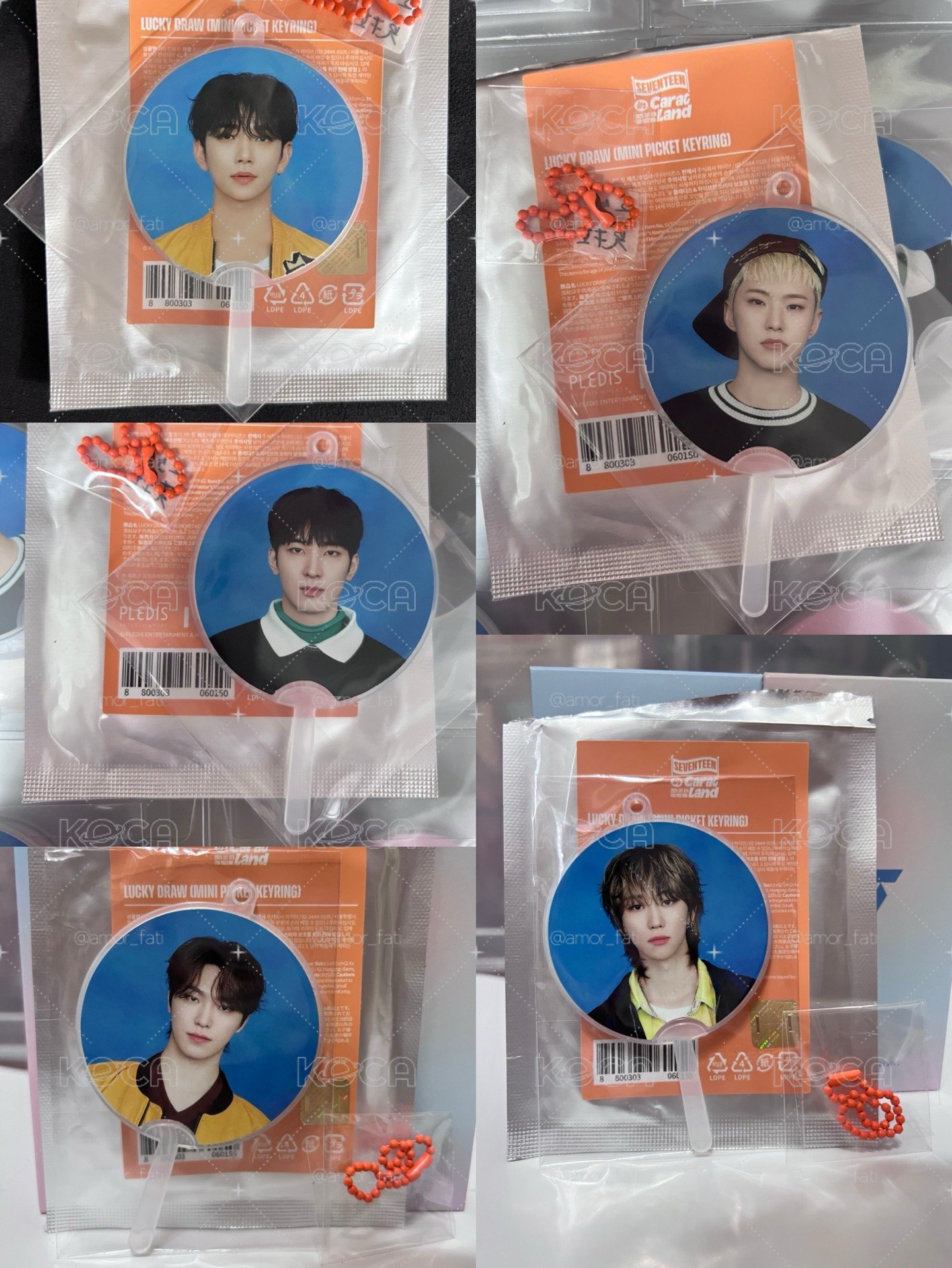 SVT💎 25克拉島小扇 🦌🐯🐈⬛🐸🦦