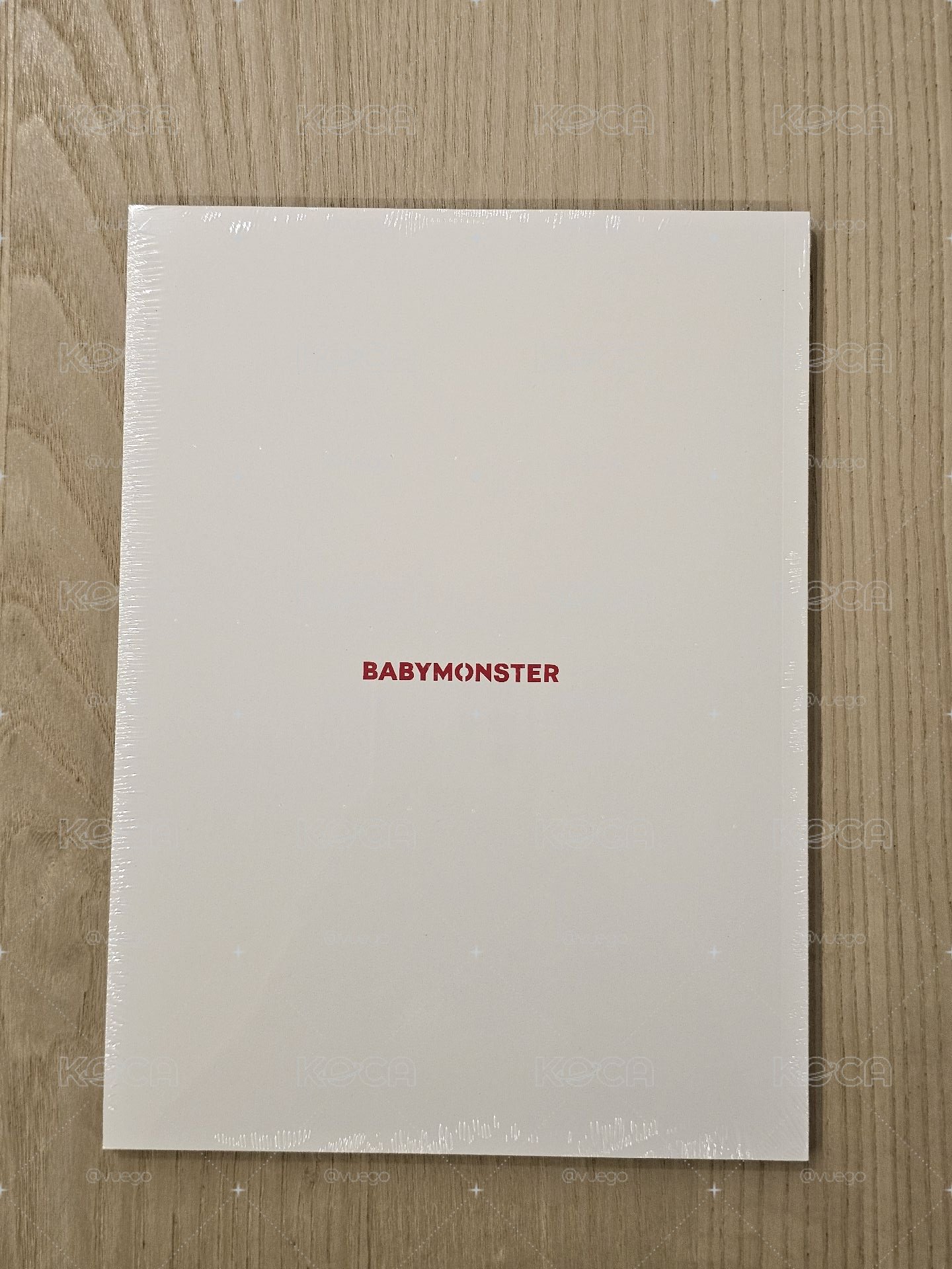 babymonster二週年寫真本PB
