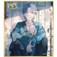 色紙 vol.51 A 色紙 花朵花後
