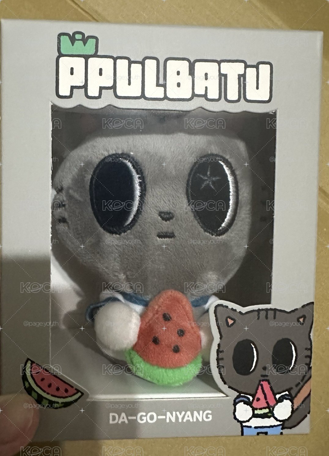 夏日西瓜娃 松喵🍉
