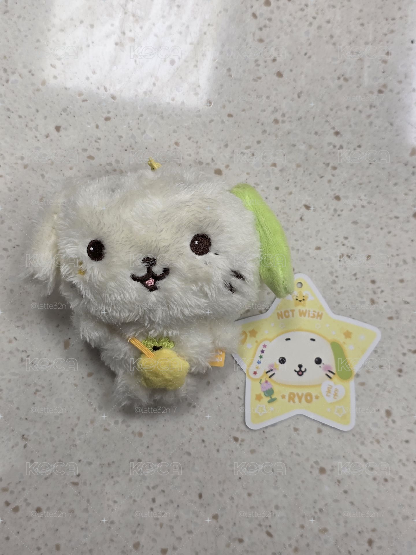 ryonryon原皮（直出不綁）
