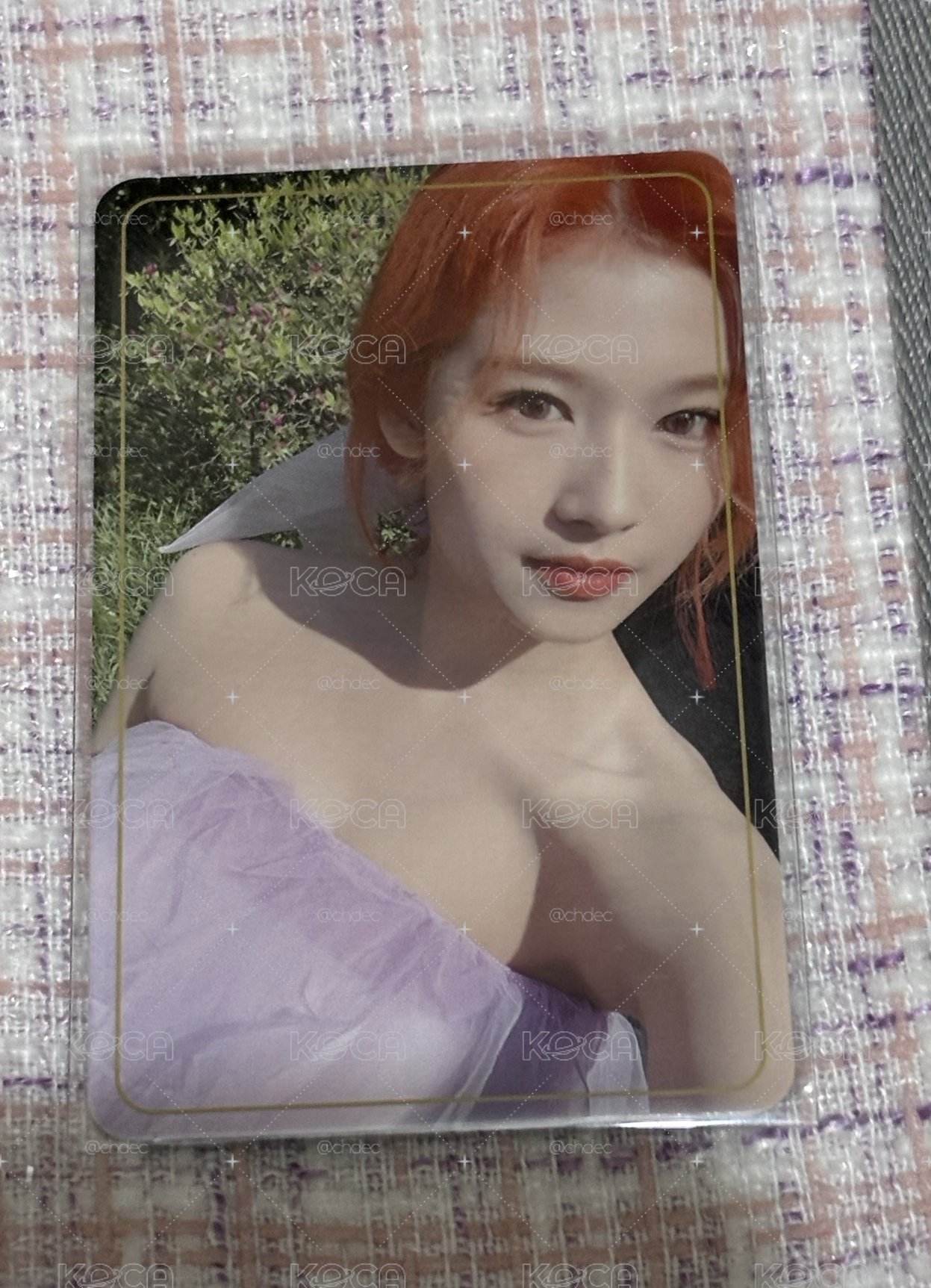 TWICE Sana more&more金框紗