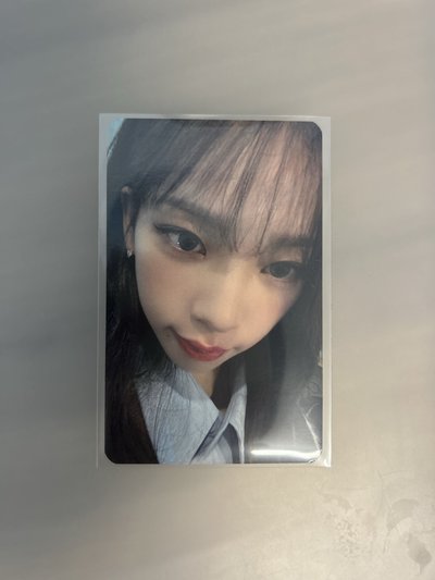 愛寶柚