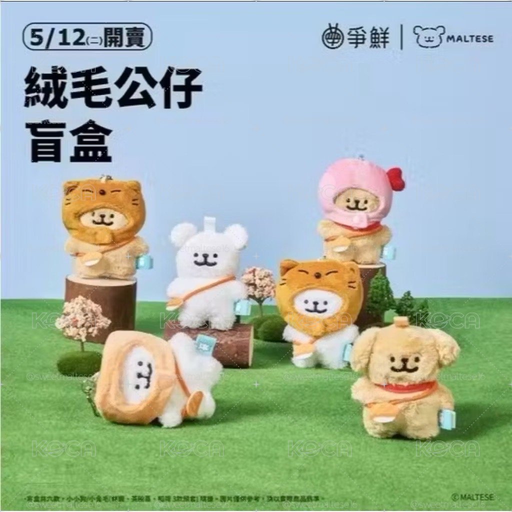 爭鮮 線條小梗 確認款（海外版）