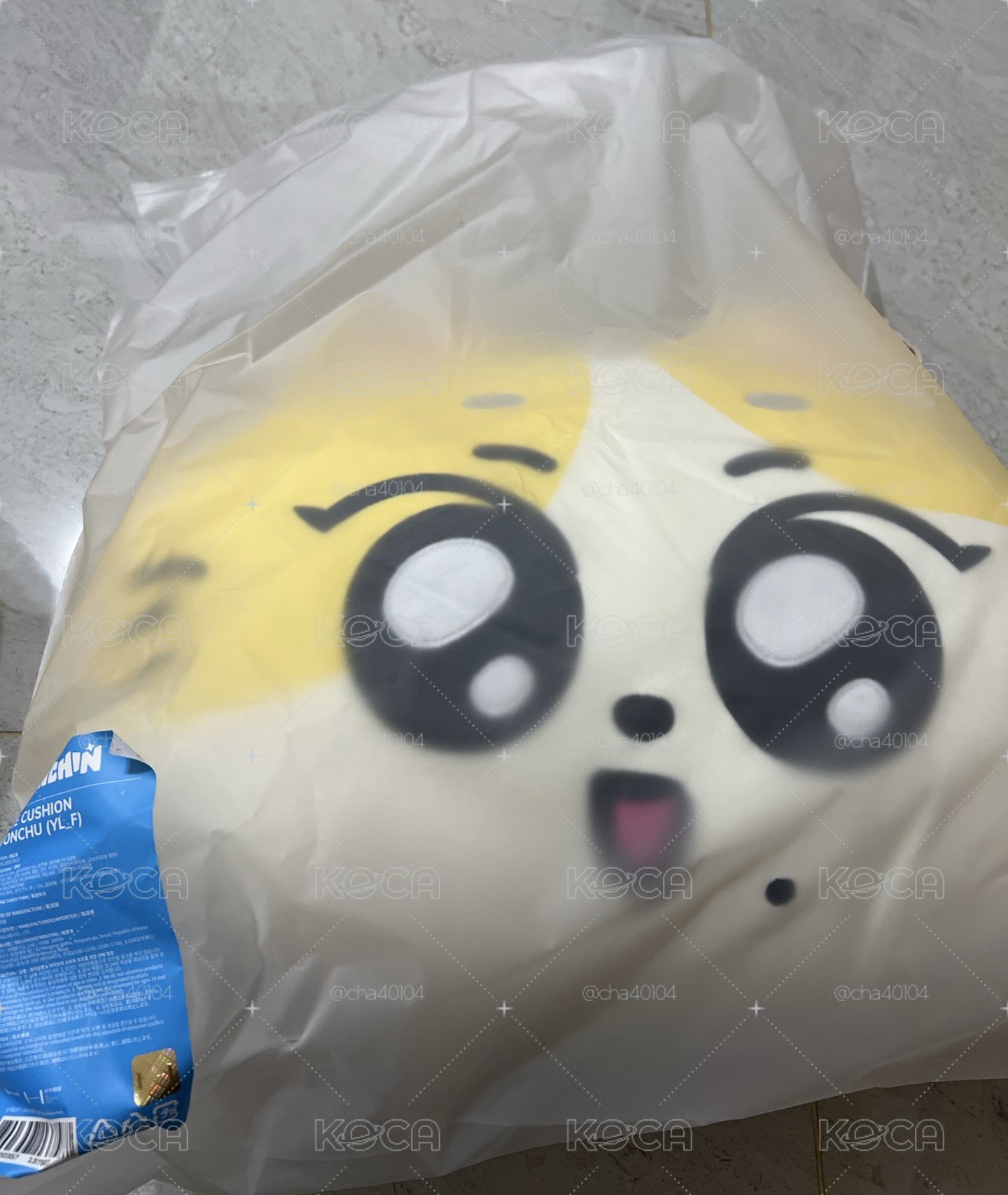 全新✅［開立電子發票🧾］臉部抱枕 WONCHU