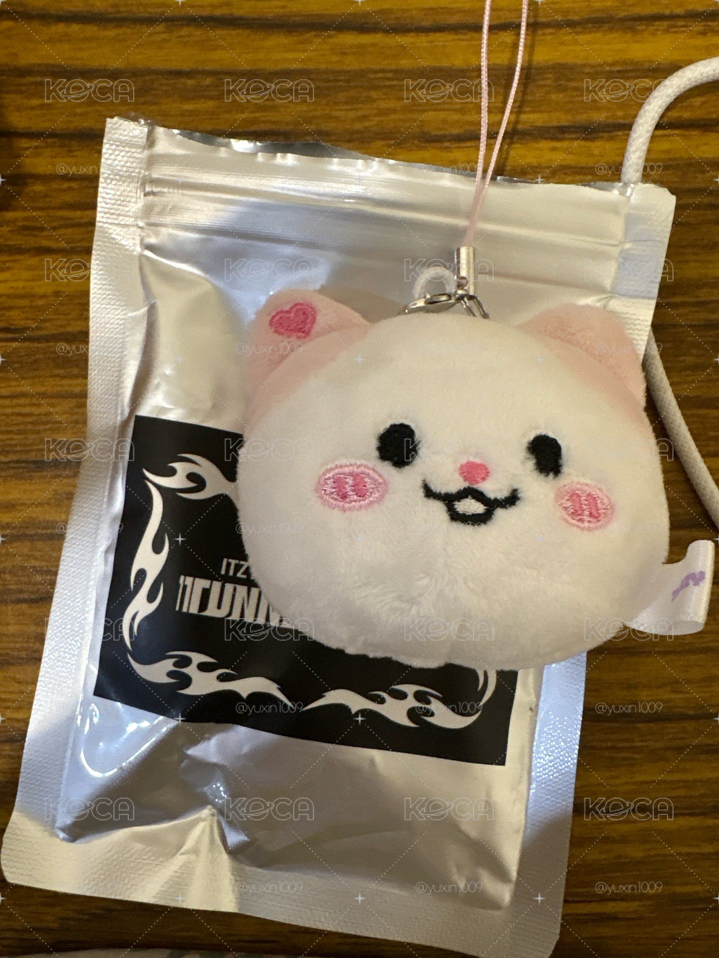 原皮娜