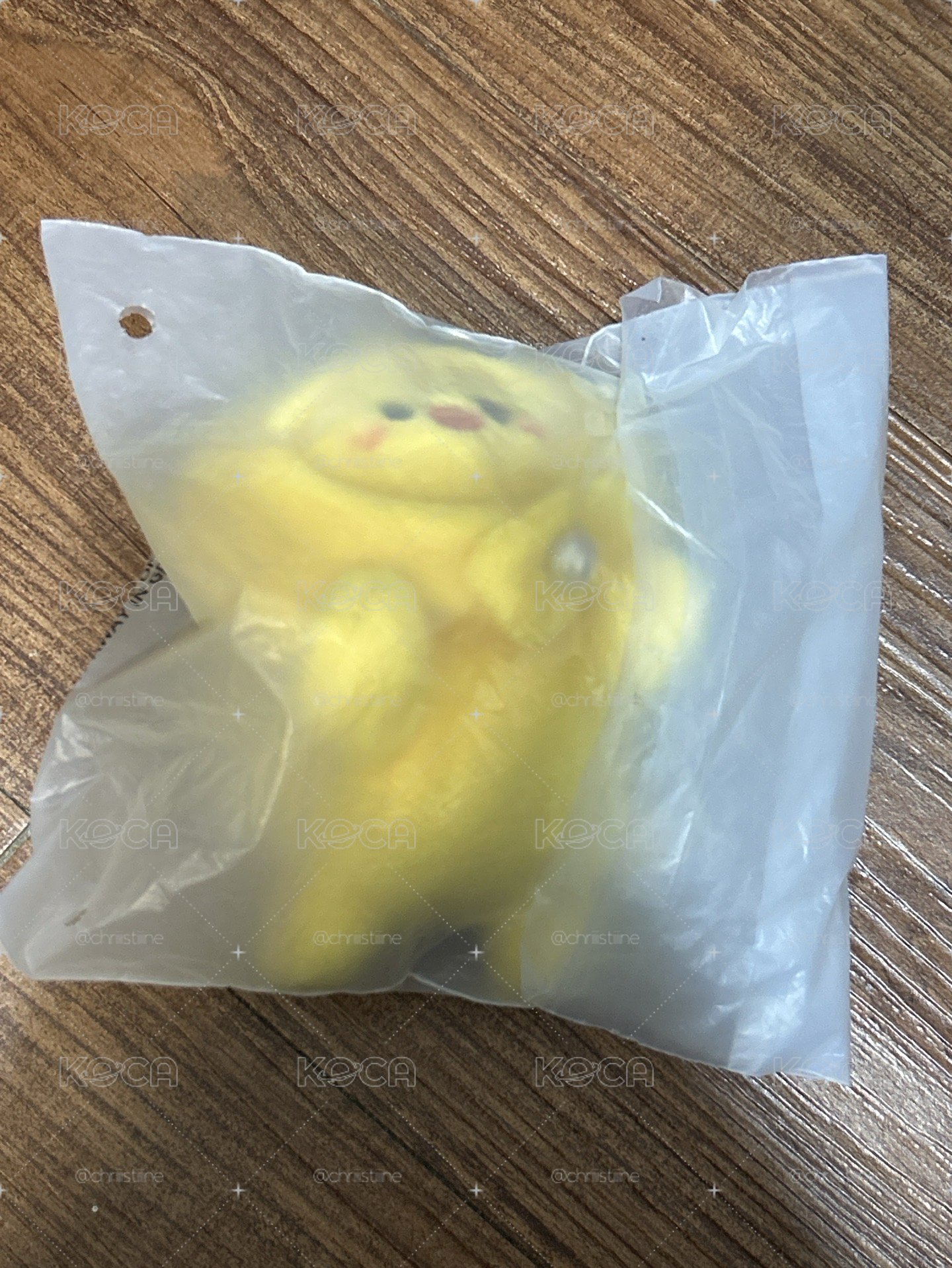 波阿里趴娃
