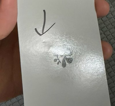 金主訓 微損便宜賣 迷二studio專輯卡