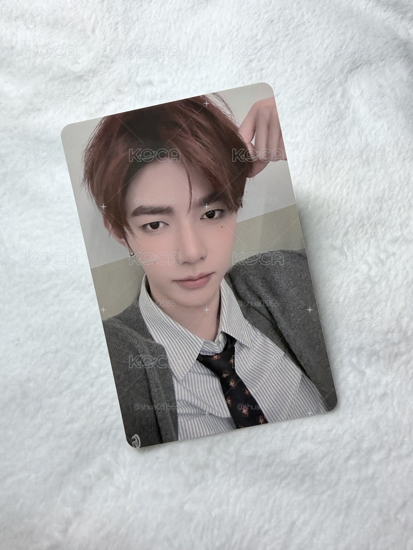 26'SG Plus Chat 特典卡 昊
