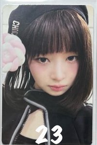 23