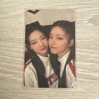四期會員椰子樹
