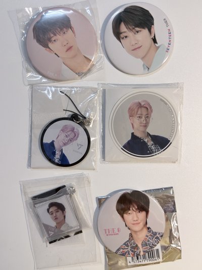 【現貨 可一日寄出】seventeen 24h 2019 一番賞 popup 徐明浩 the8 夏周 徽章