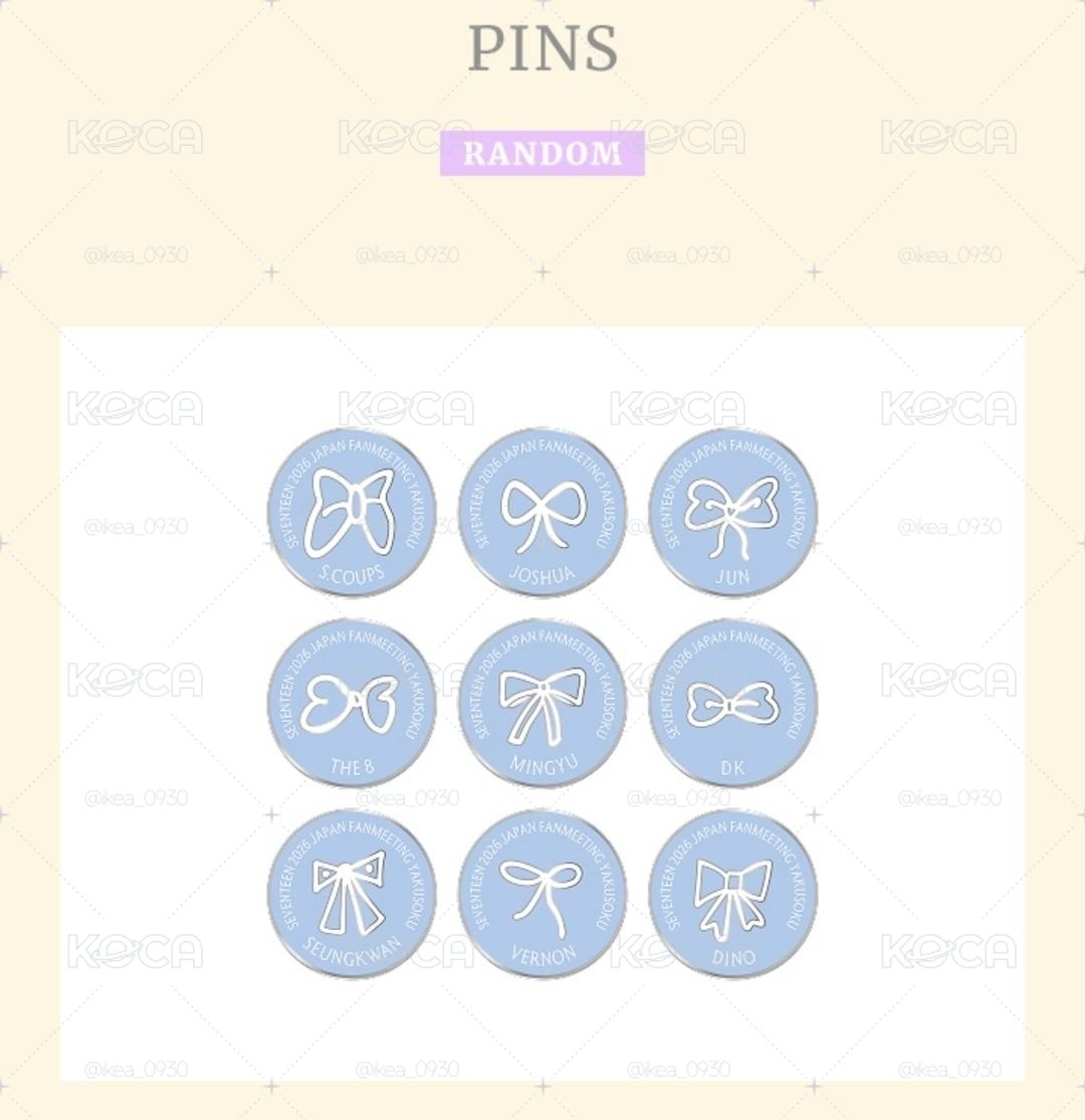 YAKUSOKU PINS 未拆