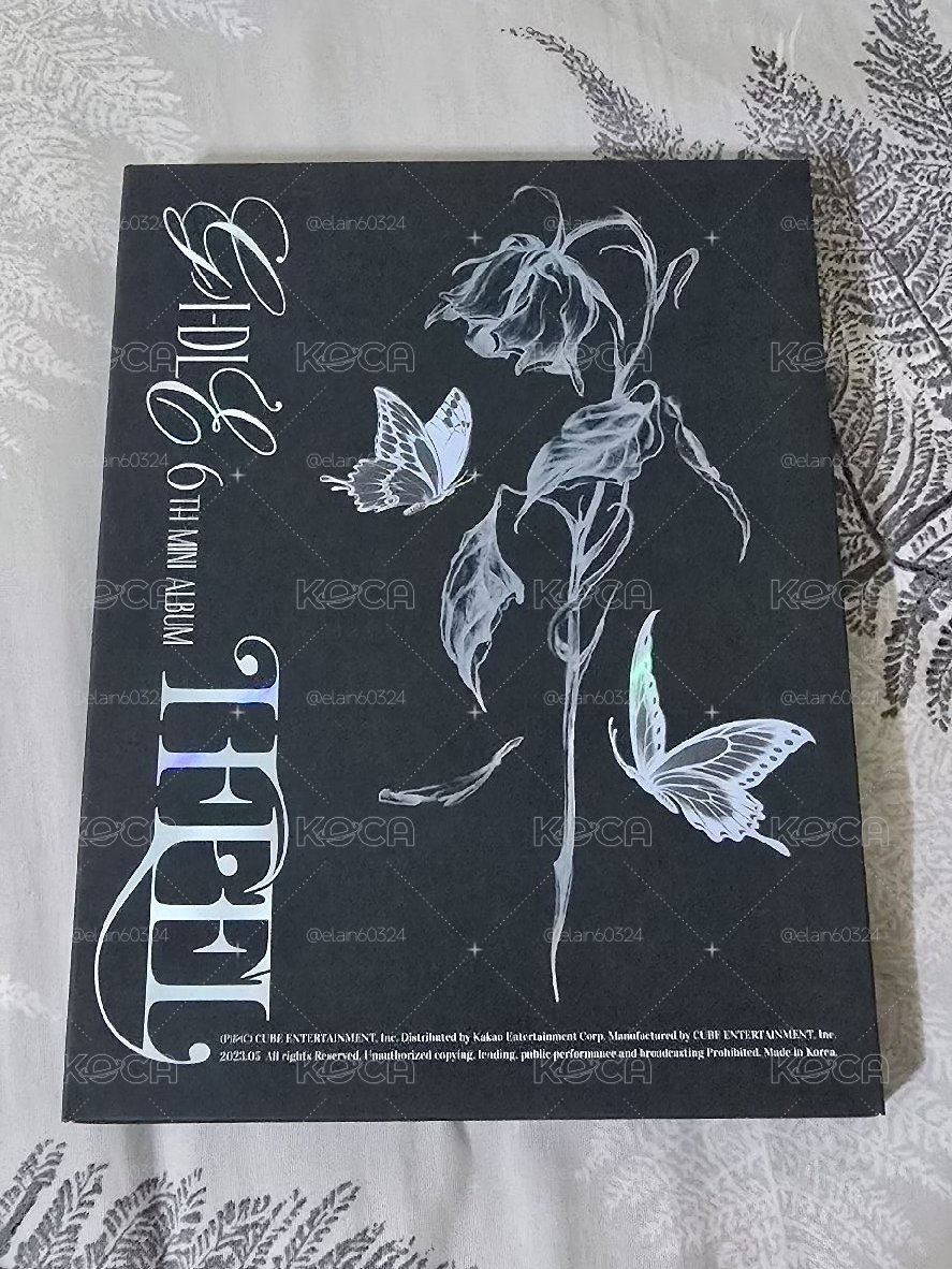 i fell butterfly版 空專