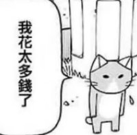 貓