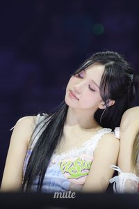 名井南的狗