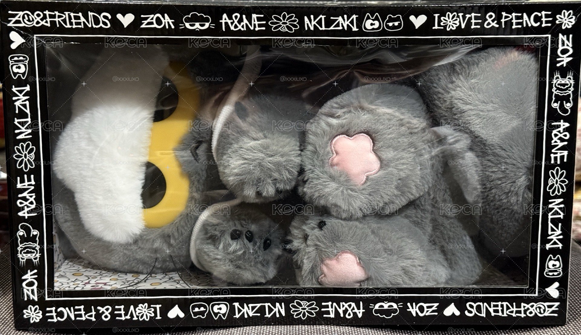 ZOA 二代中娃
