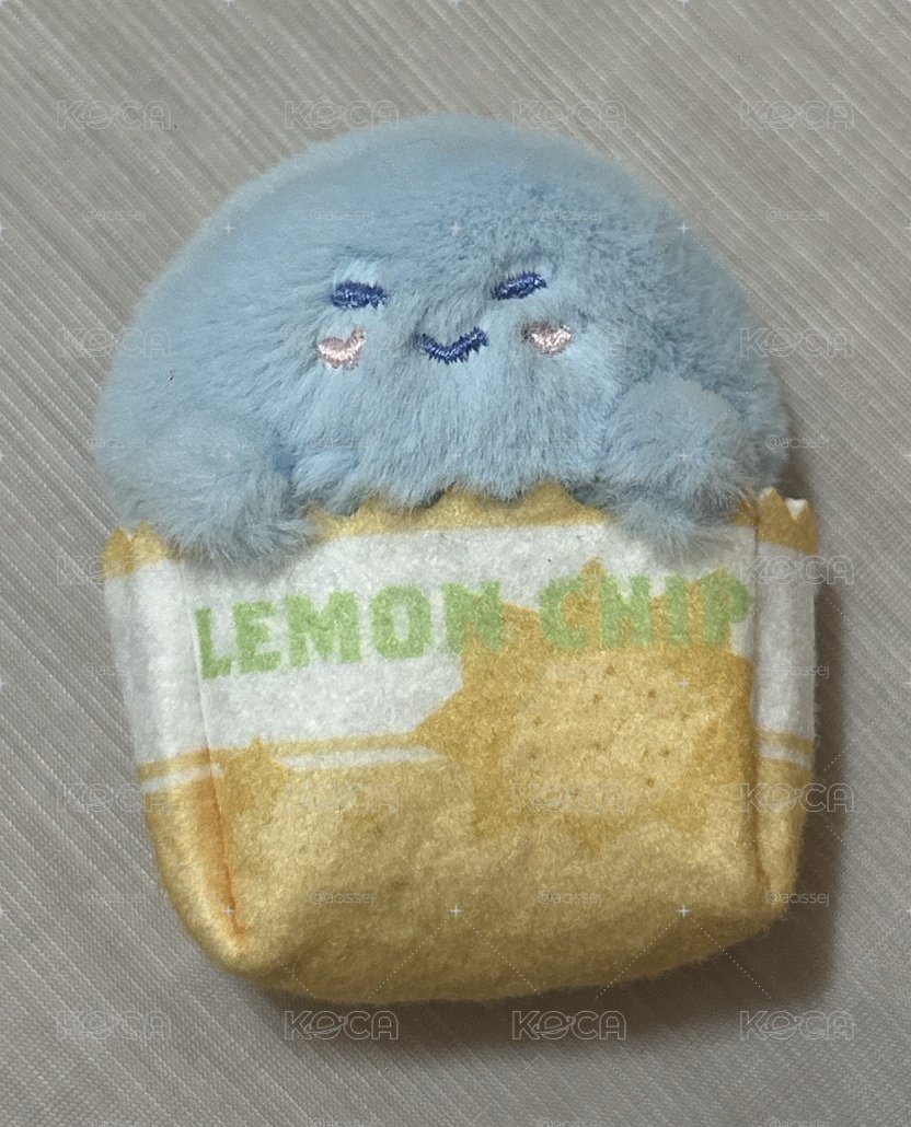 SJ磁鐵盲盒 藝聲 現貨