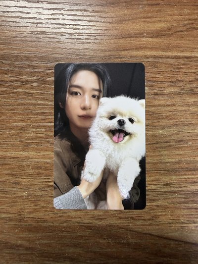 WVS 特典 狗狗卡
