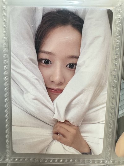 安的小卡🐶