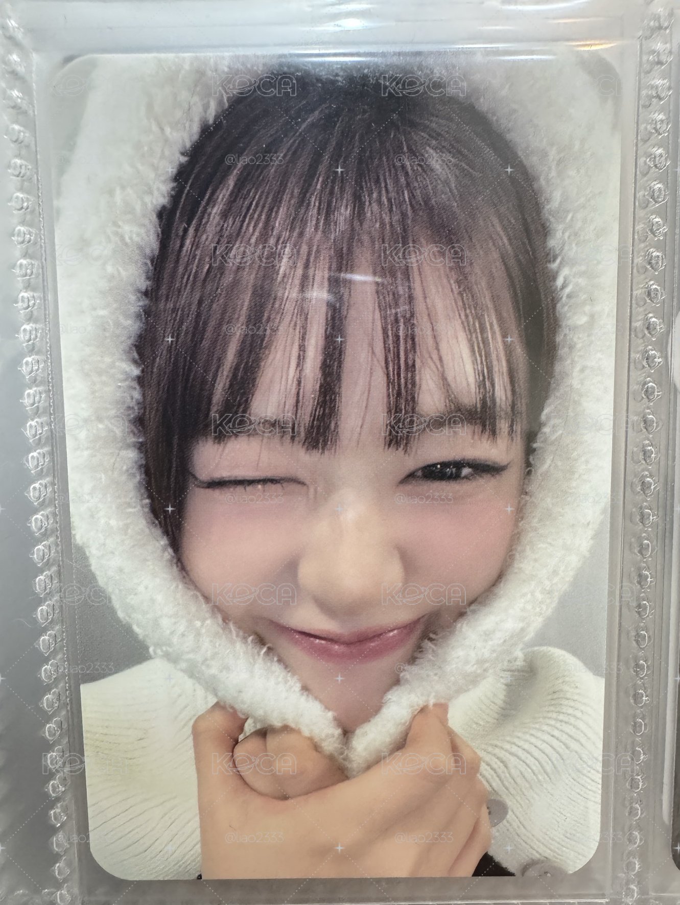 安的小卡🐶