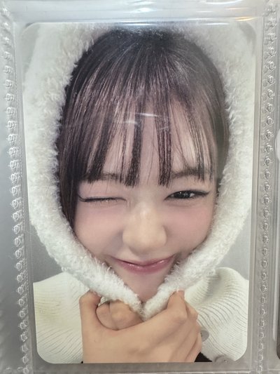 安的小卡🐶