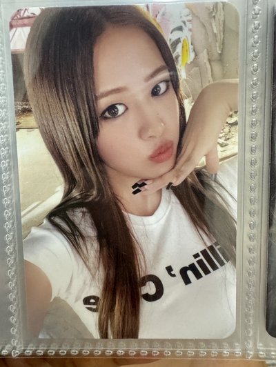 安的小卡🐶