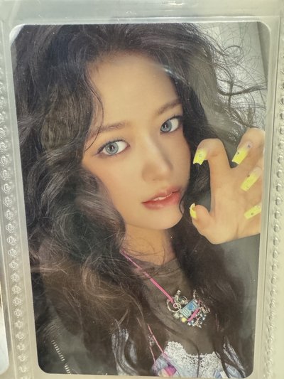 安的小卡🐶
