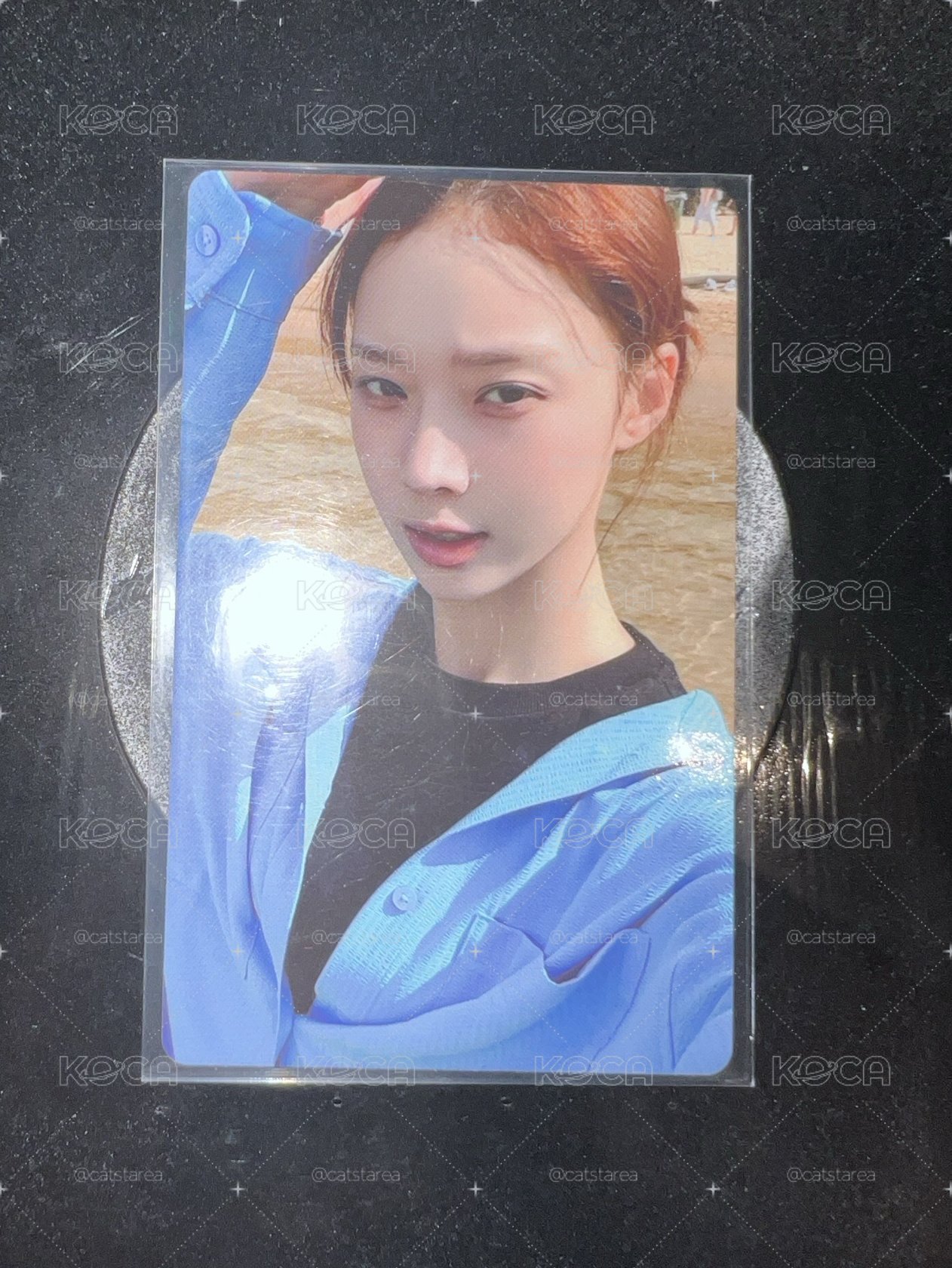 dvd冬
