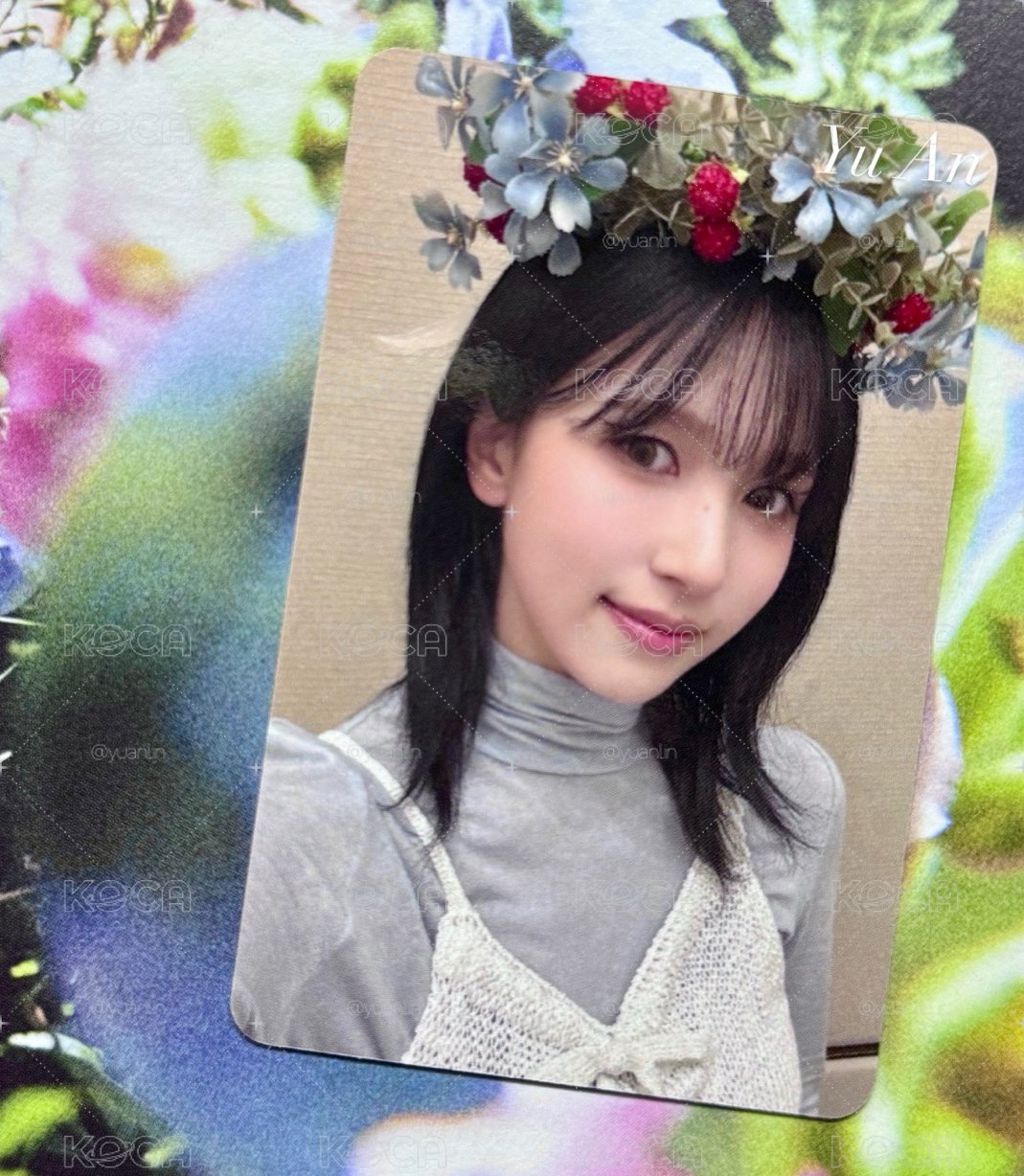 花圈南（可看對光）