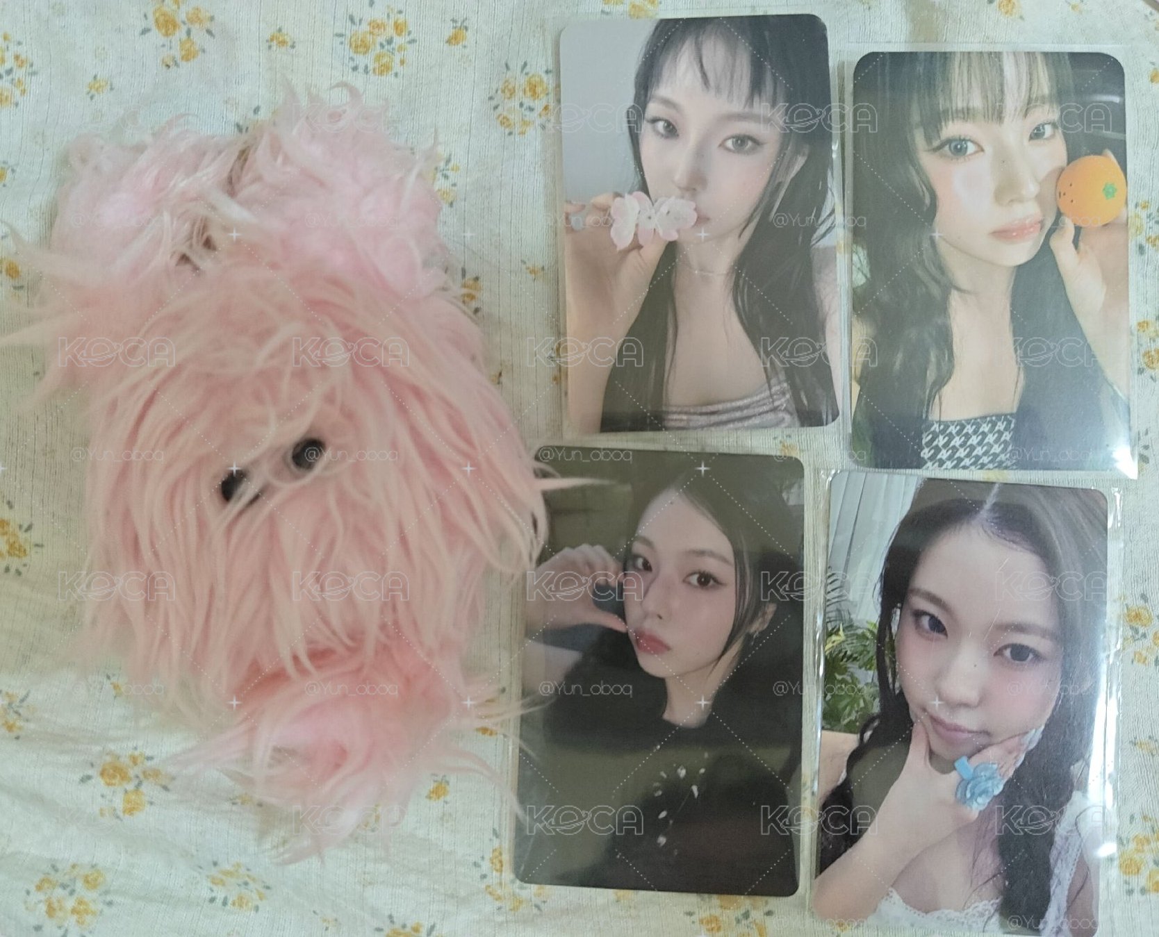 圭水母小盤