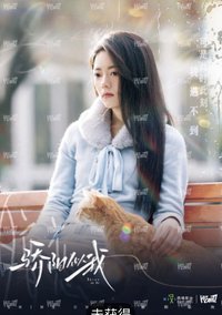 驕陽似我 相冊集 A 暗戀 明信片 