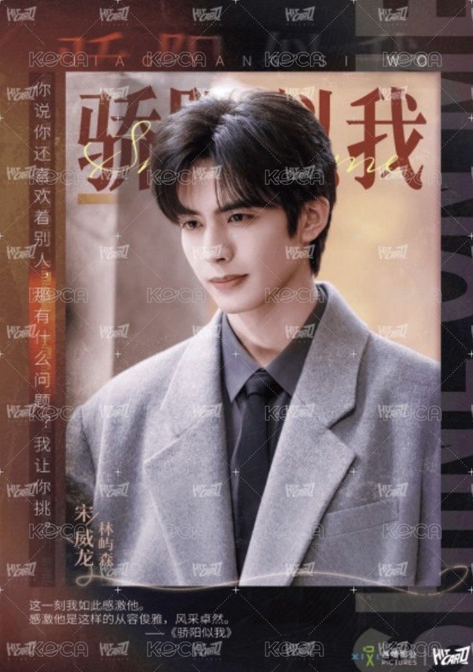 驕陽似我 相冊集 S 單人劇情膠片頁 明信片  背面