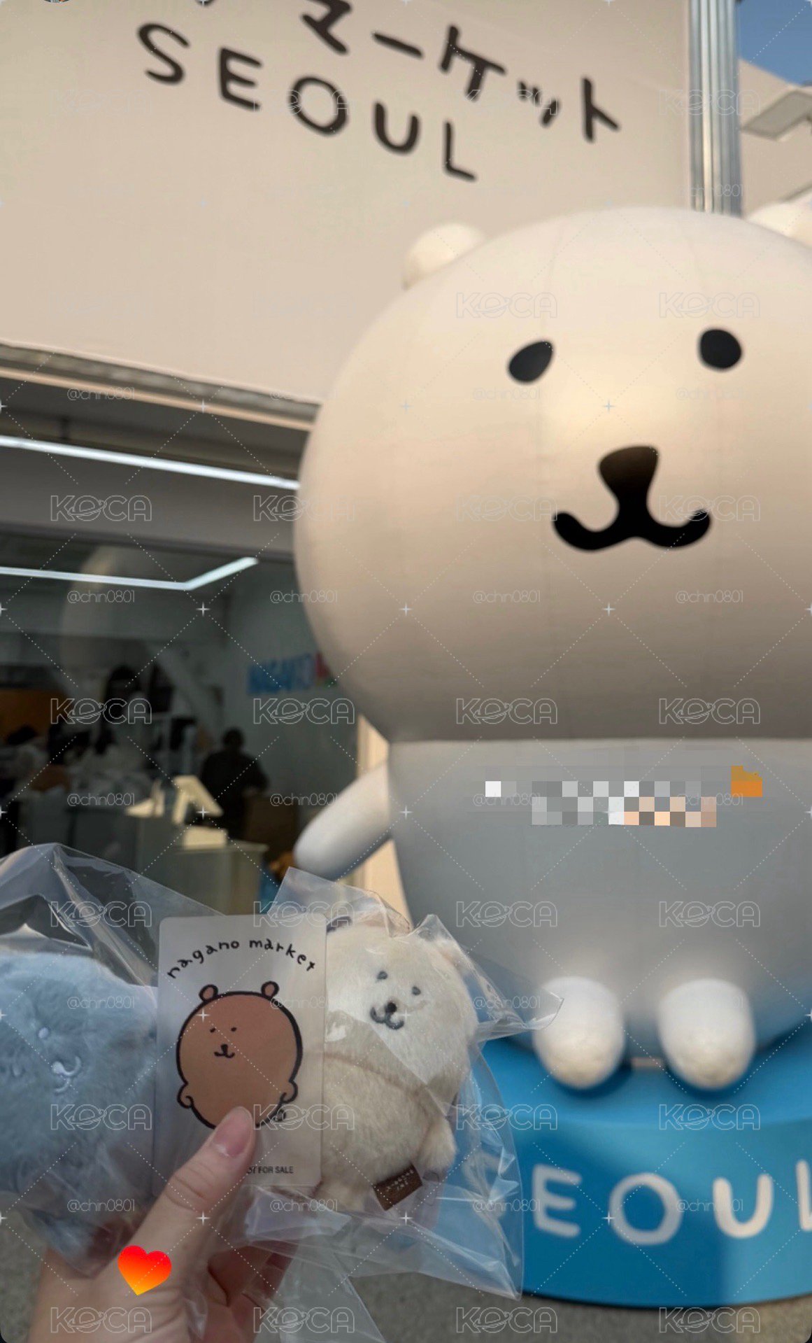 韓國限定 自嘲熊