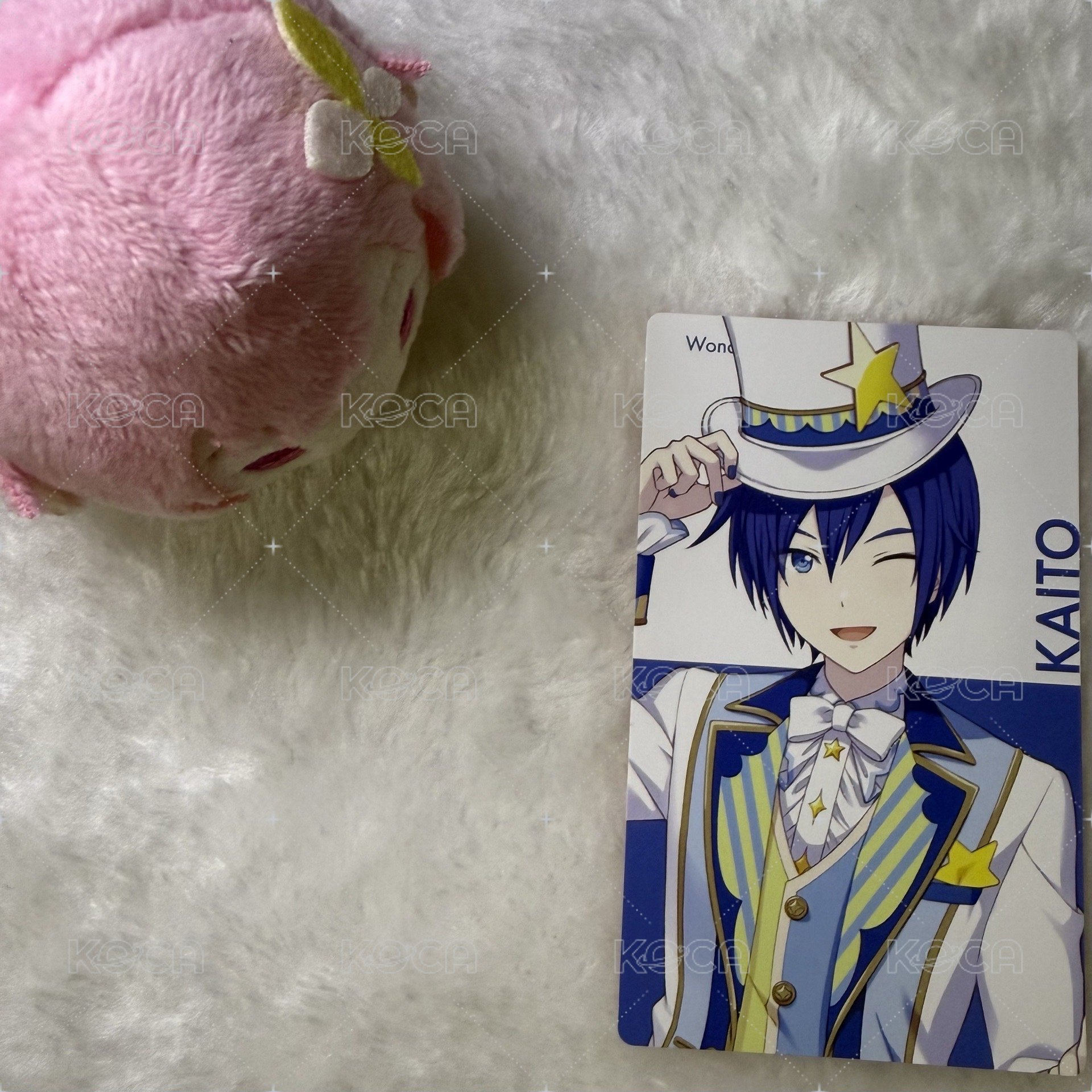 WS KAITO