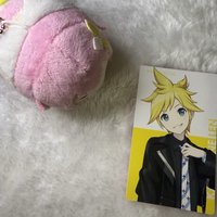 LNレン