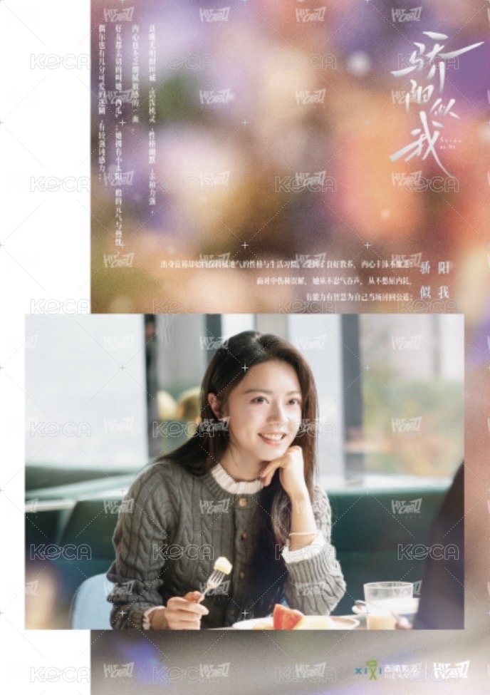 驕陽似我 相冊集 B 雙人劇照分鏡頁 明信片  背面