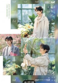 驕陽似我 相冊集 B 雙人劇照分鏡頁 明信片 