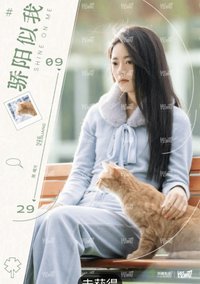 驕陽似我 相冊集 B 求職簡歷 明信片 