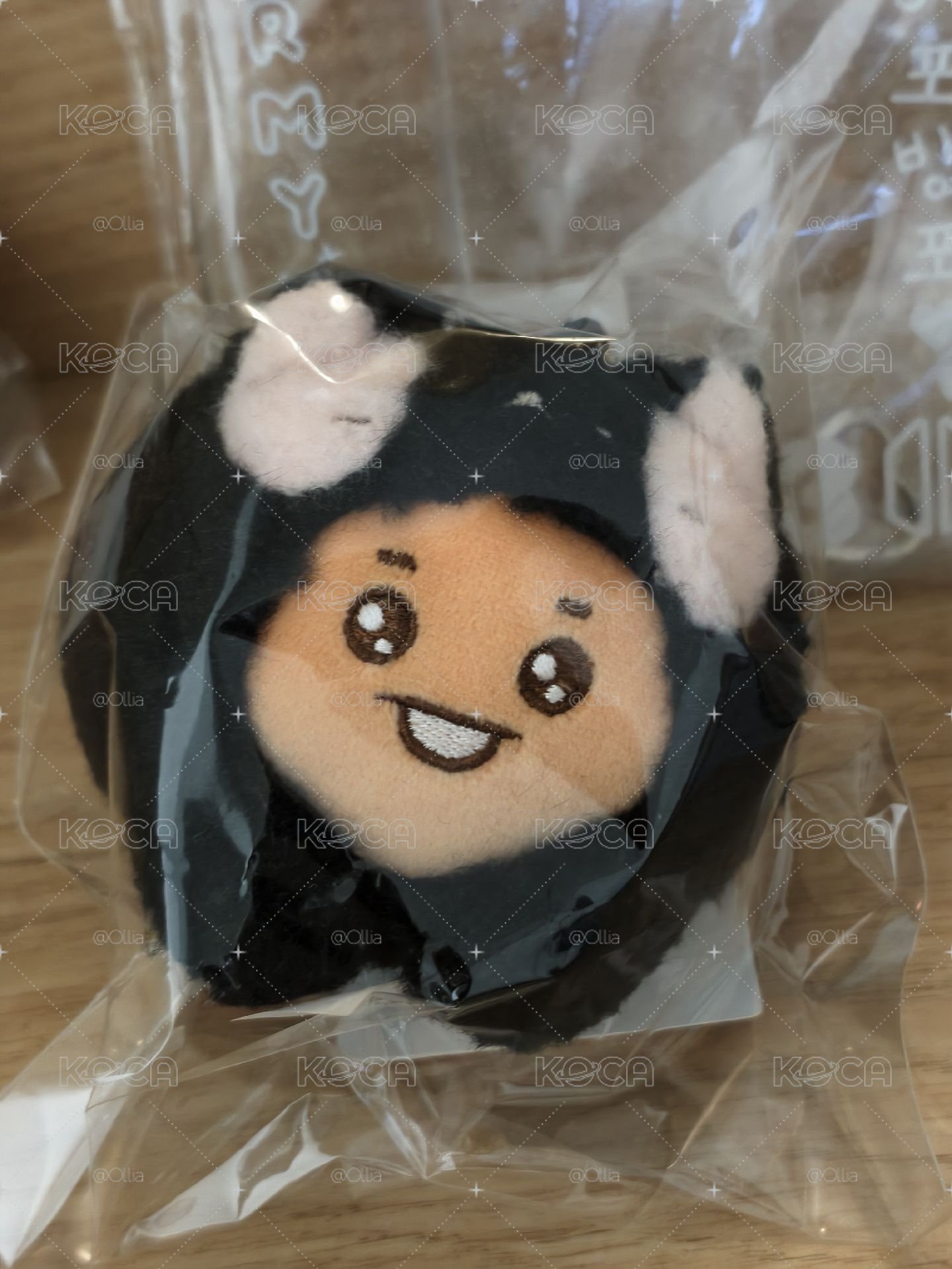 BT21 BABY  MORE FLUFFY 毛絨鑰匙圈