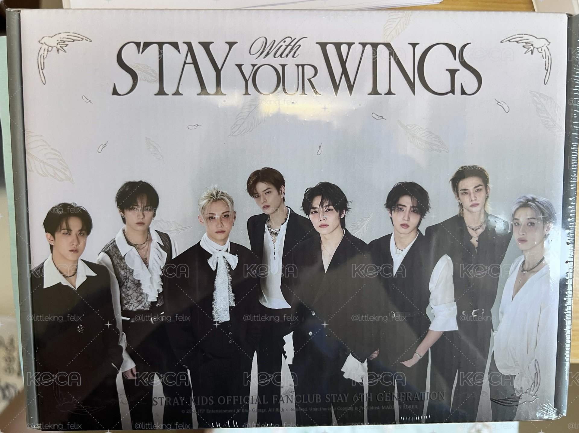 【Stray Kids】SKZ 小卡 燦 旻 彬 辰 城 菲 玟 寅 六期會員禮 全新 未拆