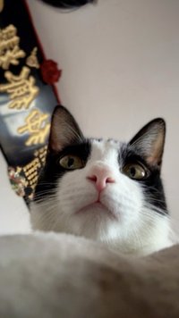 波小麗的罐頭錢