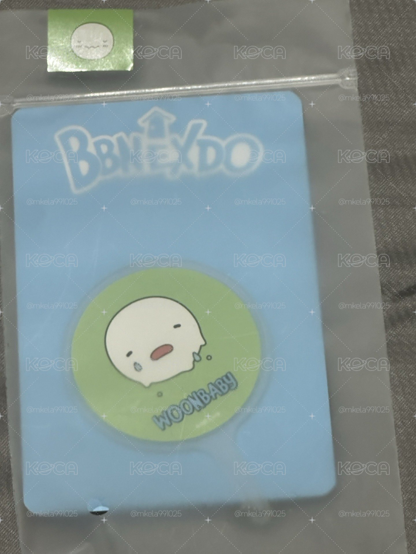 雲寶小扇子
